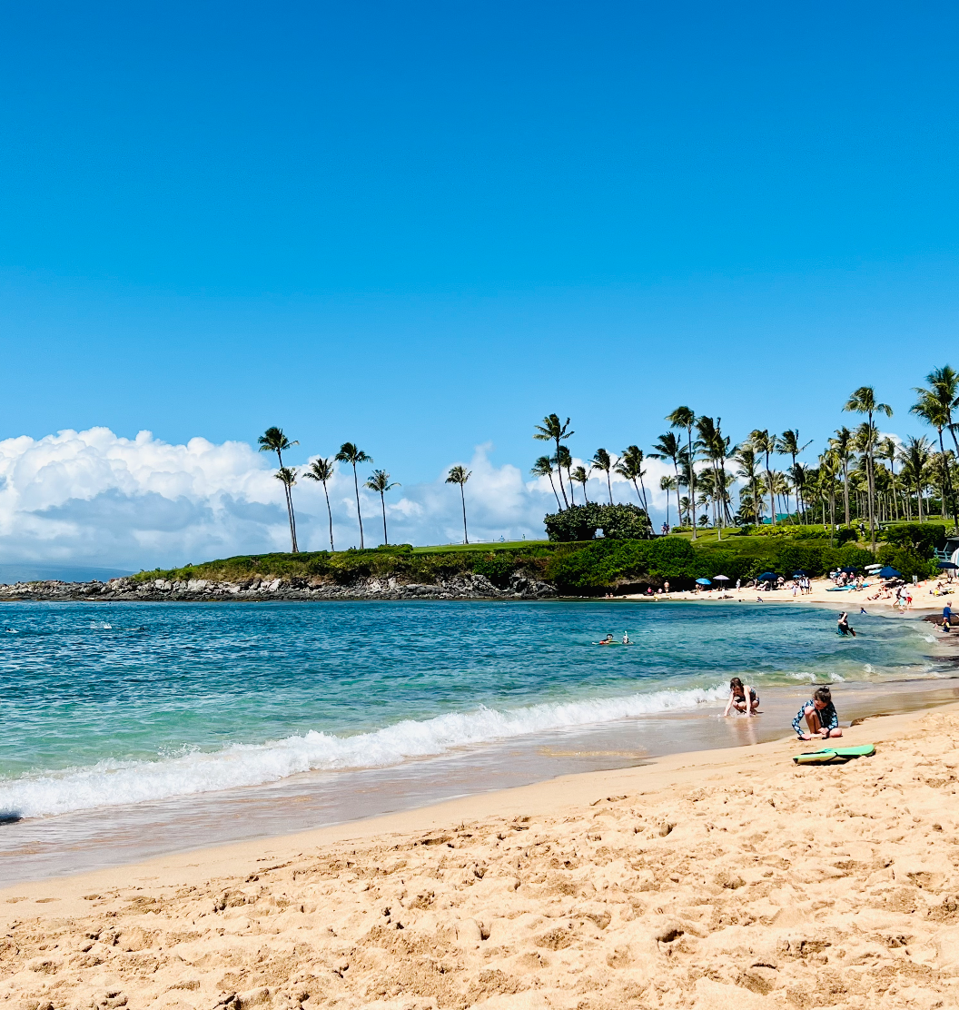best time to visit maui for sea turtles