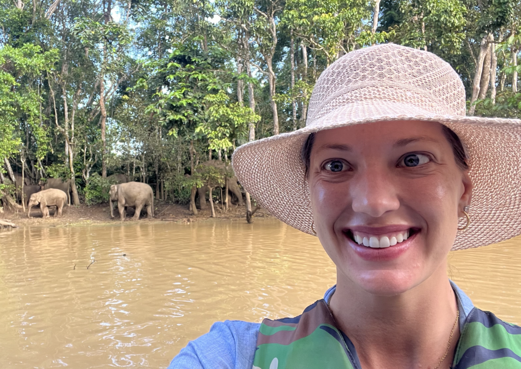 borneo wildlife safari