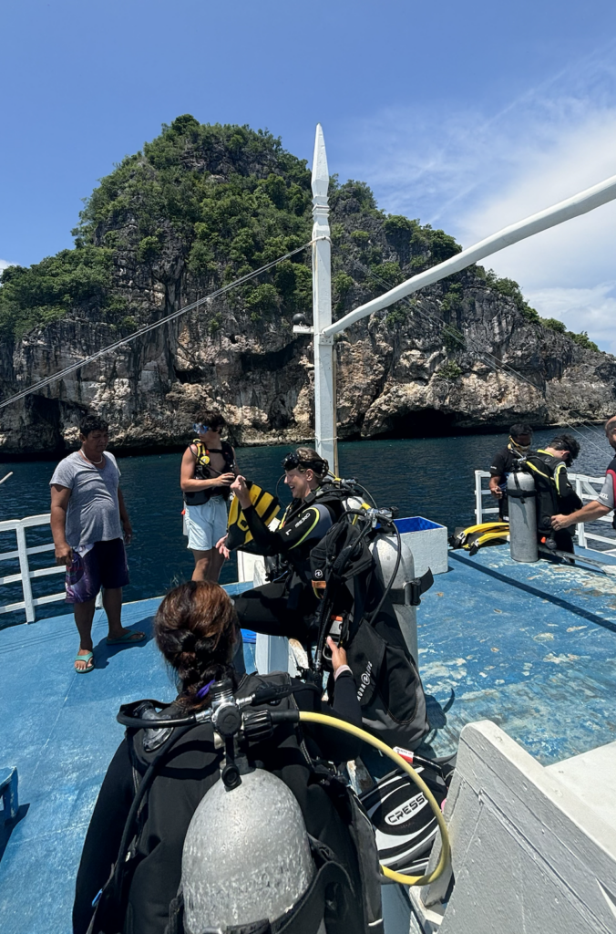 gato island philippines dive site