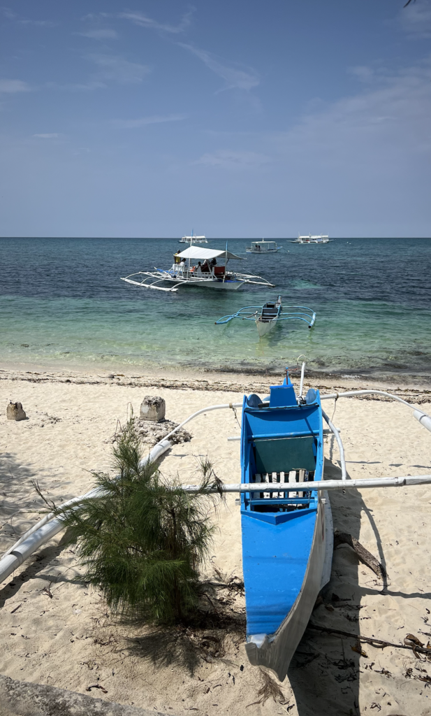 malapascua shark attack