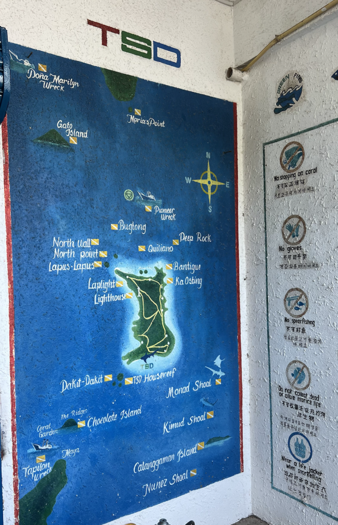 malapascua dive sites for thresher sharks