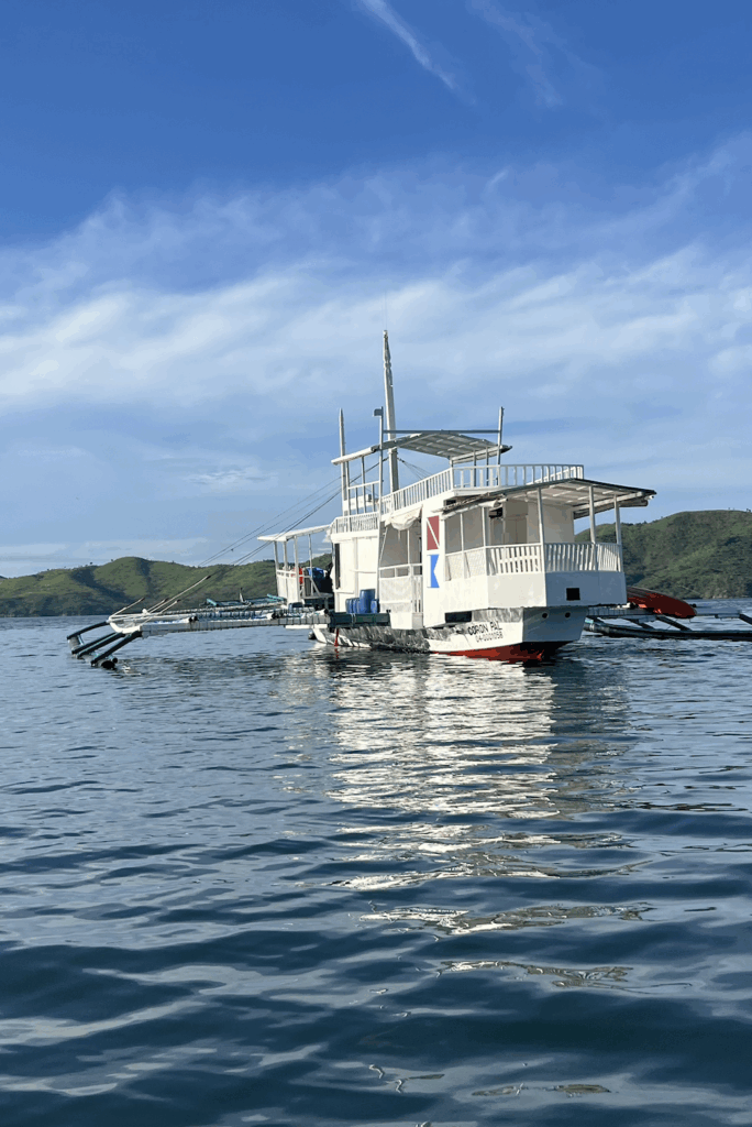 scuba diving with dugongs in coron, palawan