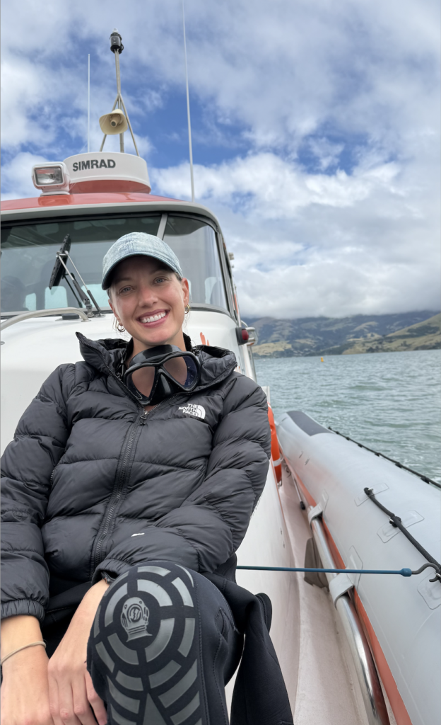 Should you swim with dolphins in Akaroa or Kaikōura?