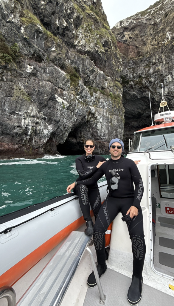 swim with dolphins akaroa new zealand review