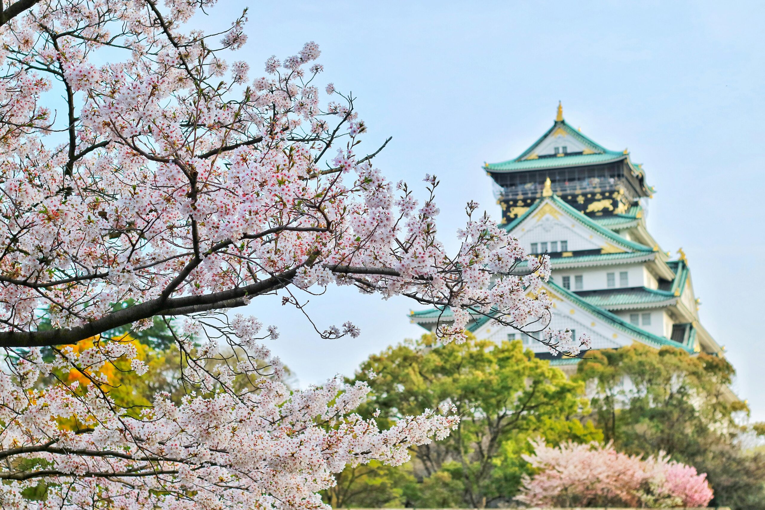 where to see cherry blossoms in japan without crowds
