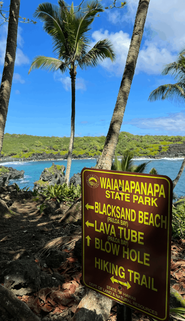 can you drive road to hana in 1 day