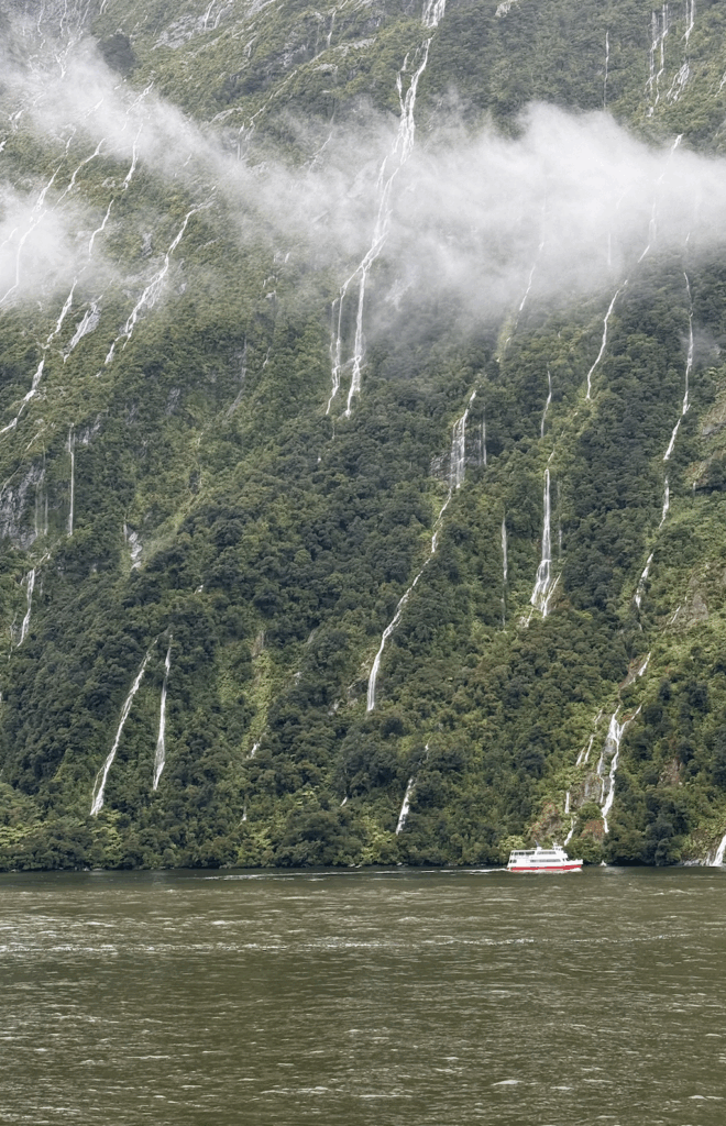is a milford sound cruise worth it