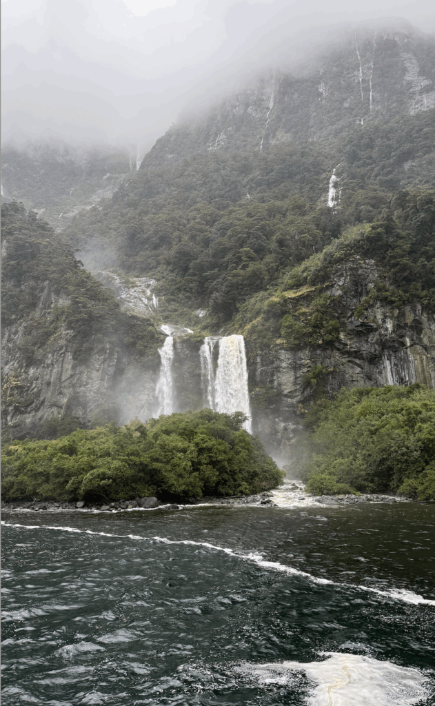 milford sound cruise price