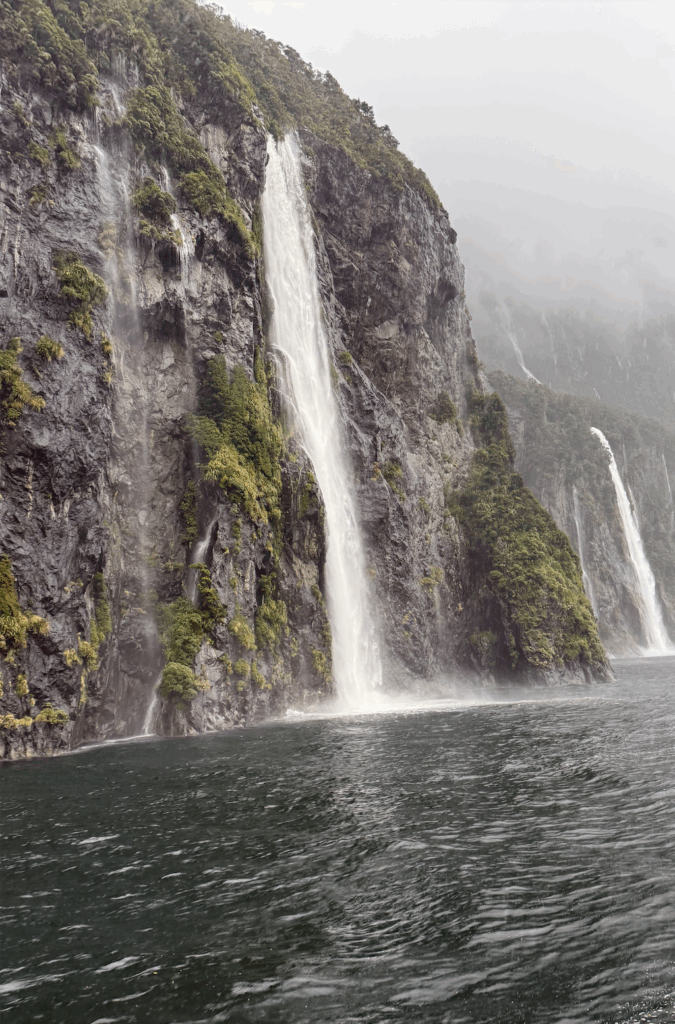 best milford sound day cruise