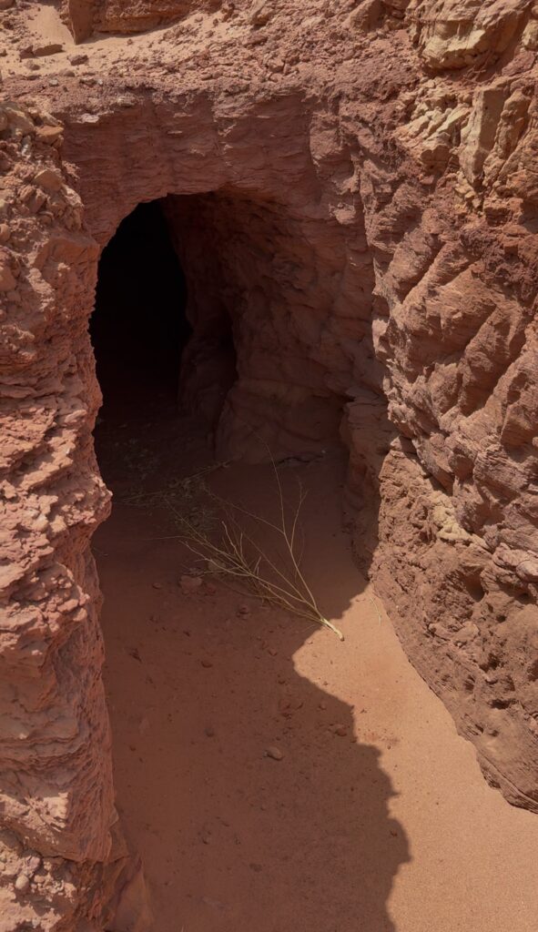 best fossil tours morocco