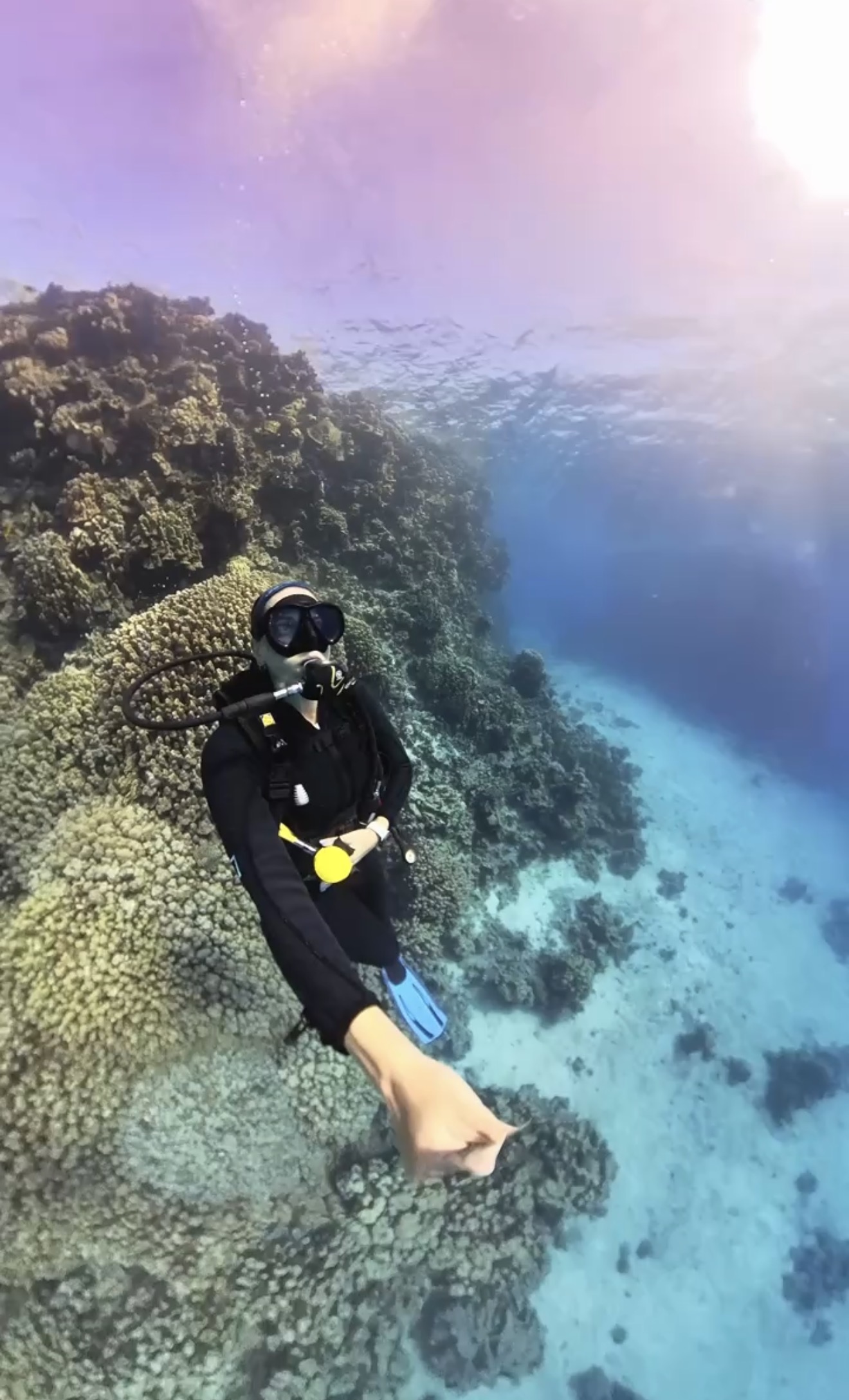 scuba diving marsa alam prices