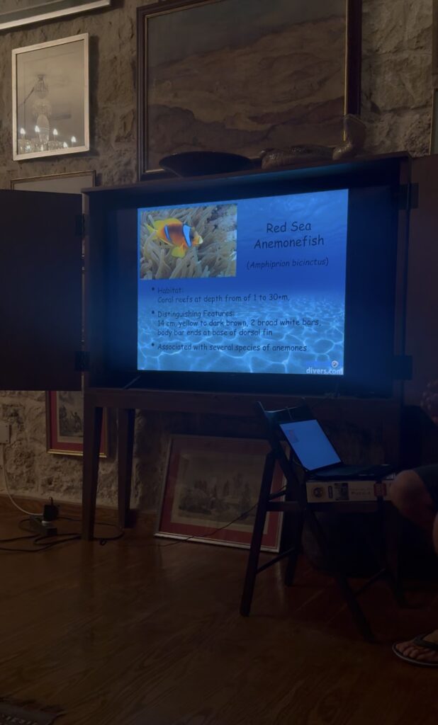 wadi sabarah lodge review