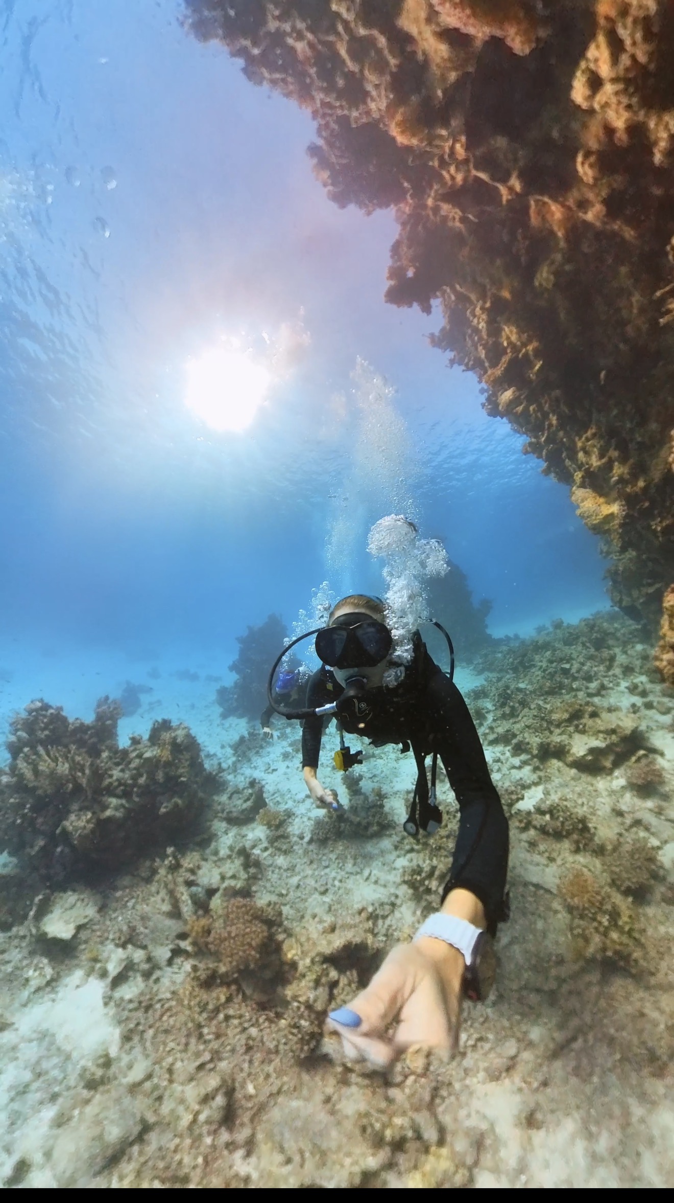 scuba diving in egypt sharm el sheik