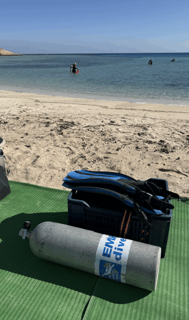 best scuba diving in egypt for beginners