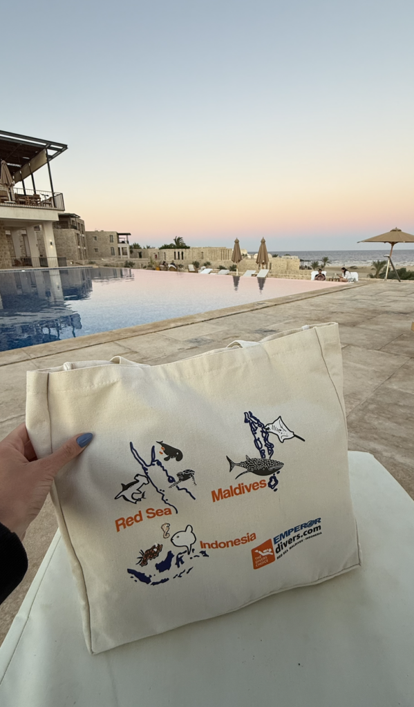 best dive resorts marsa alam