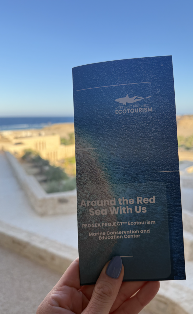 padi dive resort marsa alam egypt