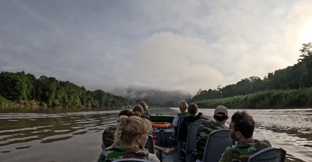 best time of year for a river safari in Borneo