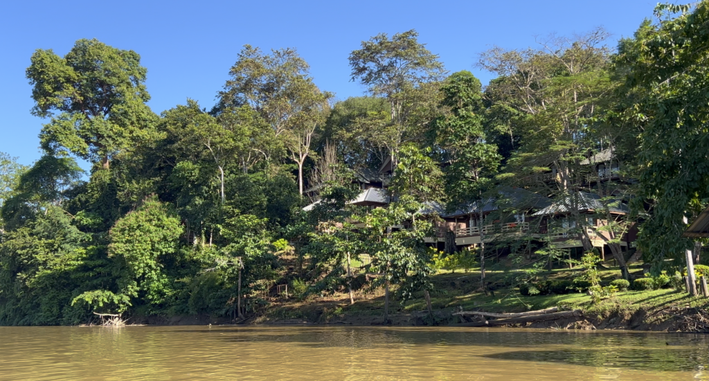 is borneo safari worth it for tourists