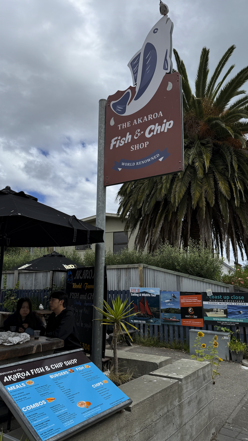 new zealand wildlife akaroa roadtrip
