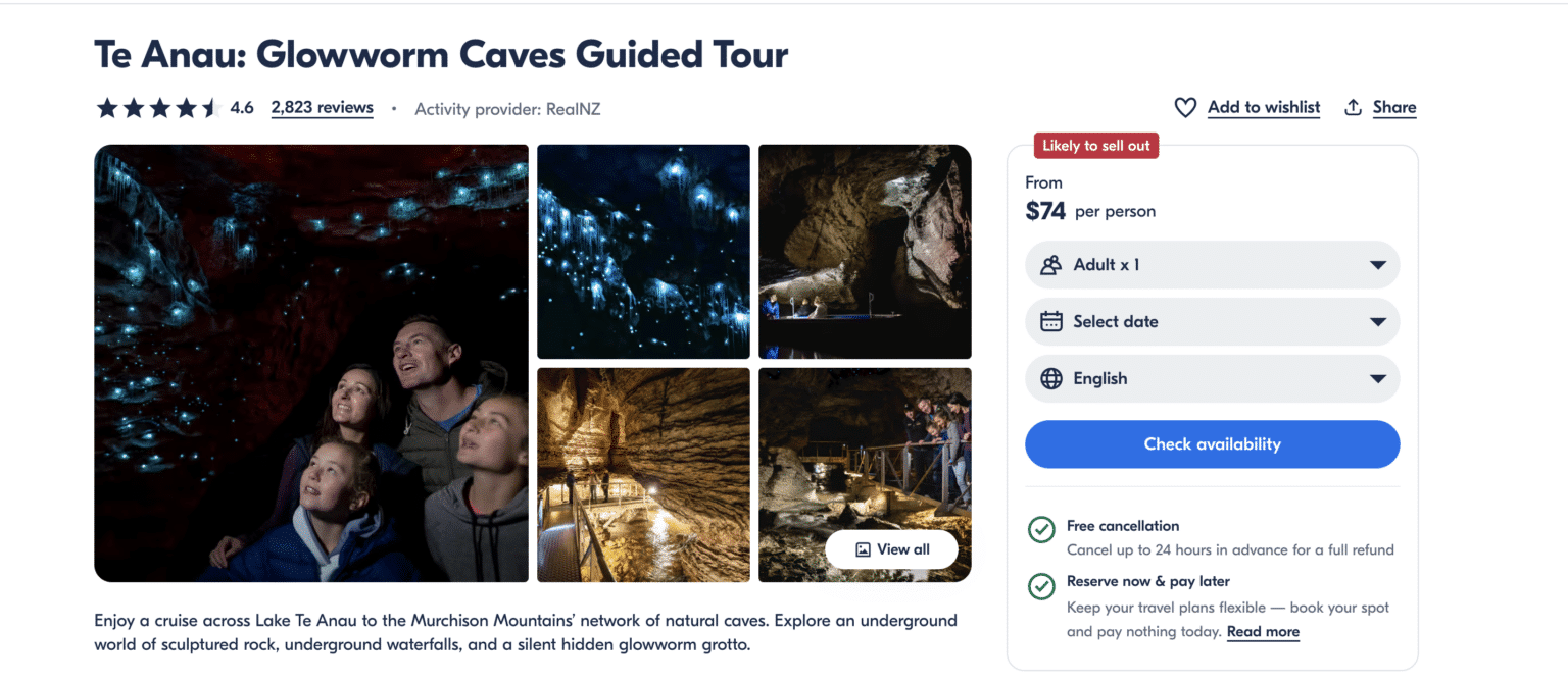 new zealand wildlife glowworm cave tour price and reviews