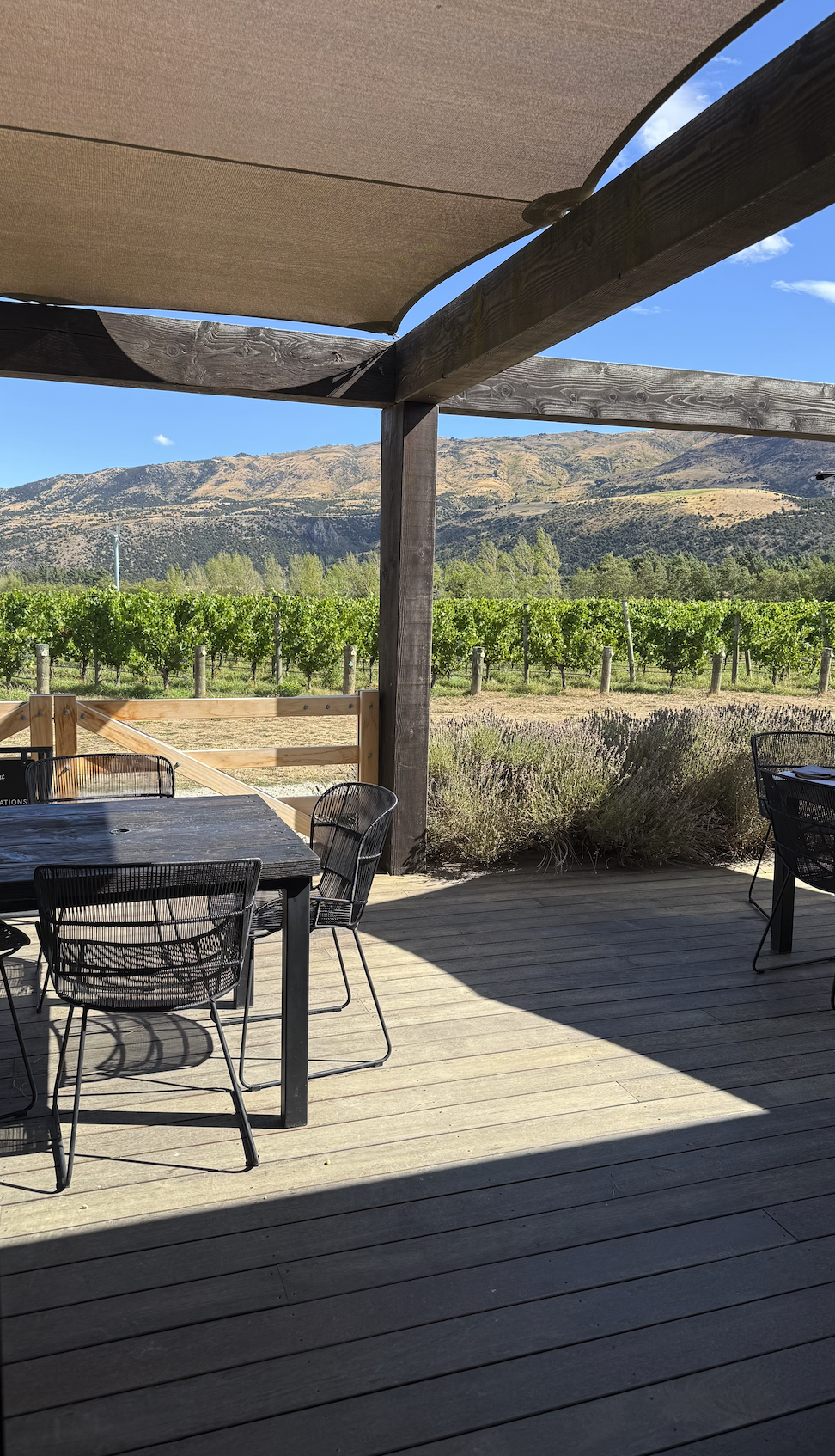 winery in wanaka new zealand with outdoor patio and vineyard view