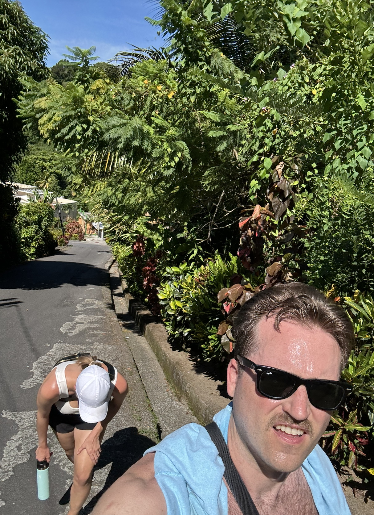 hiking dominica
