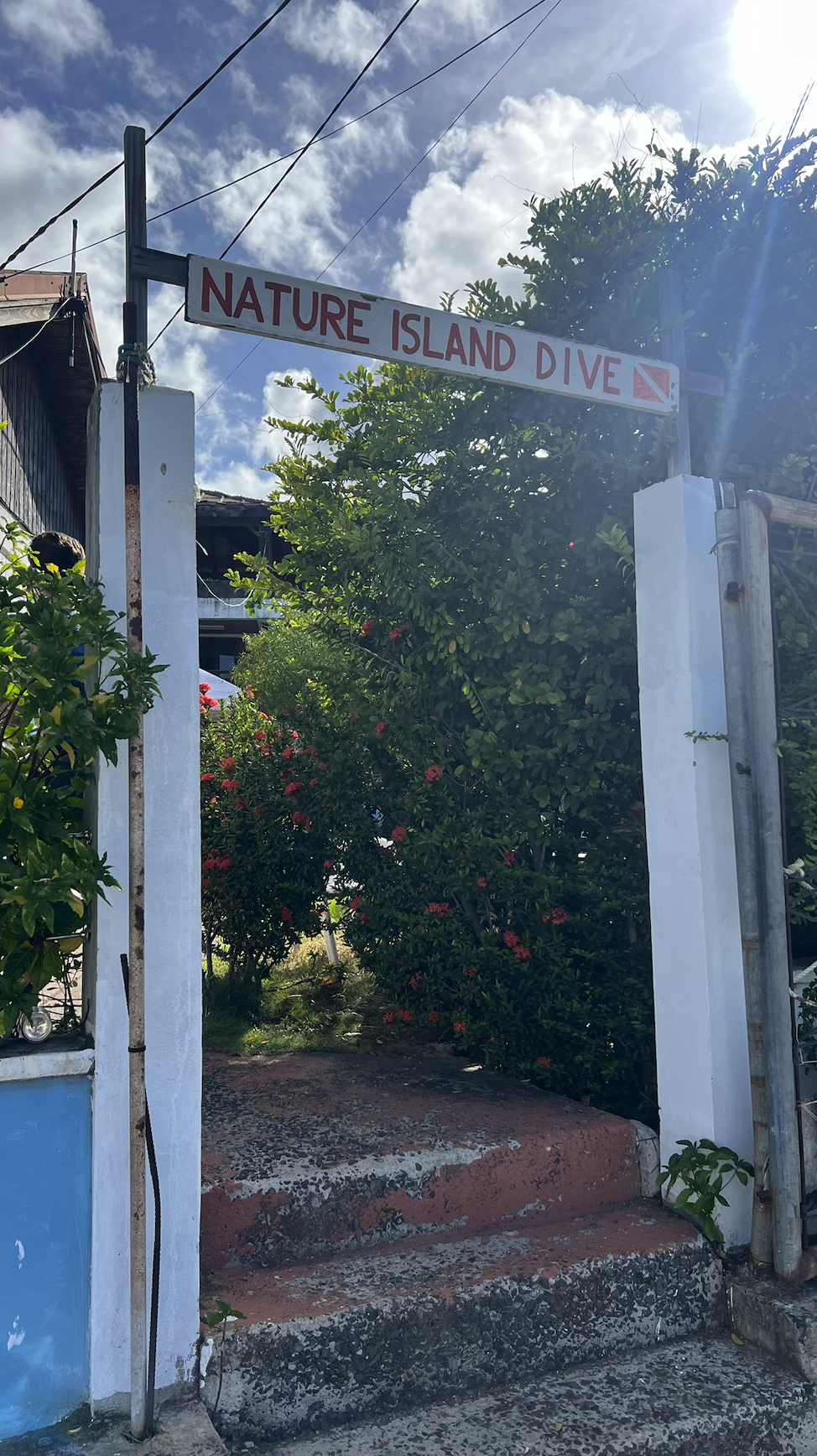 nature island divers Dominica