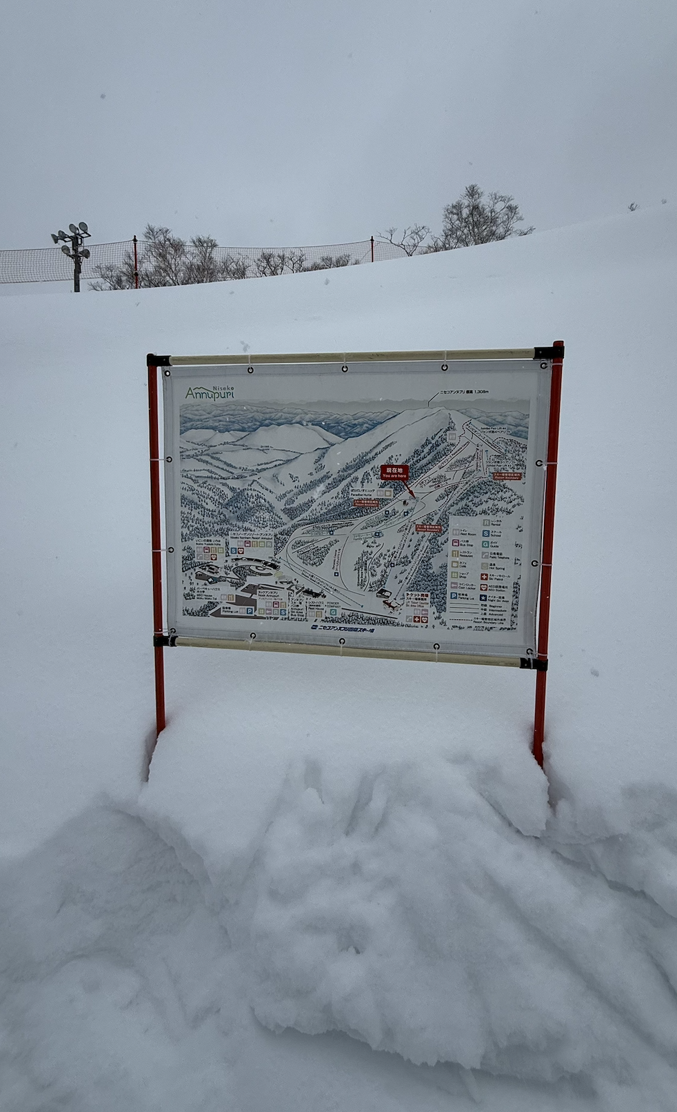 ski map niseko japan with beignner runs