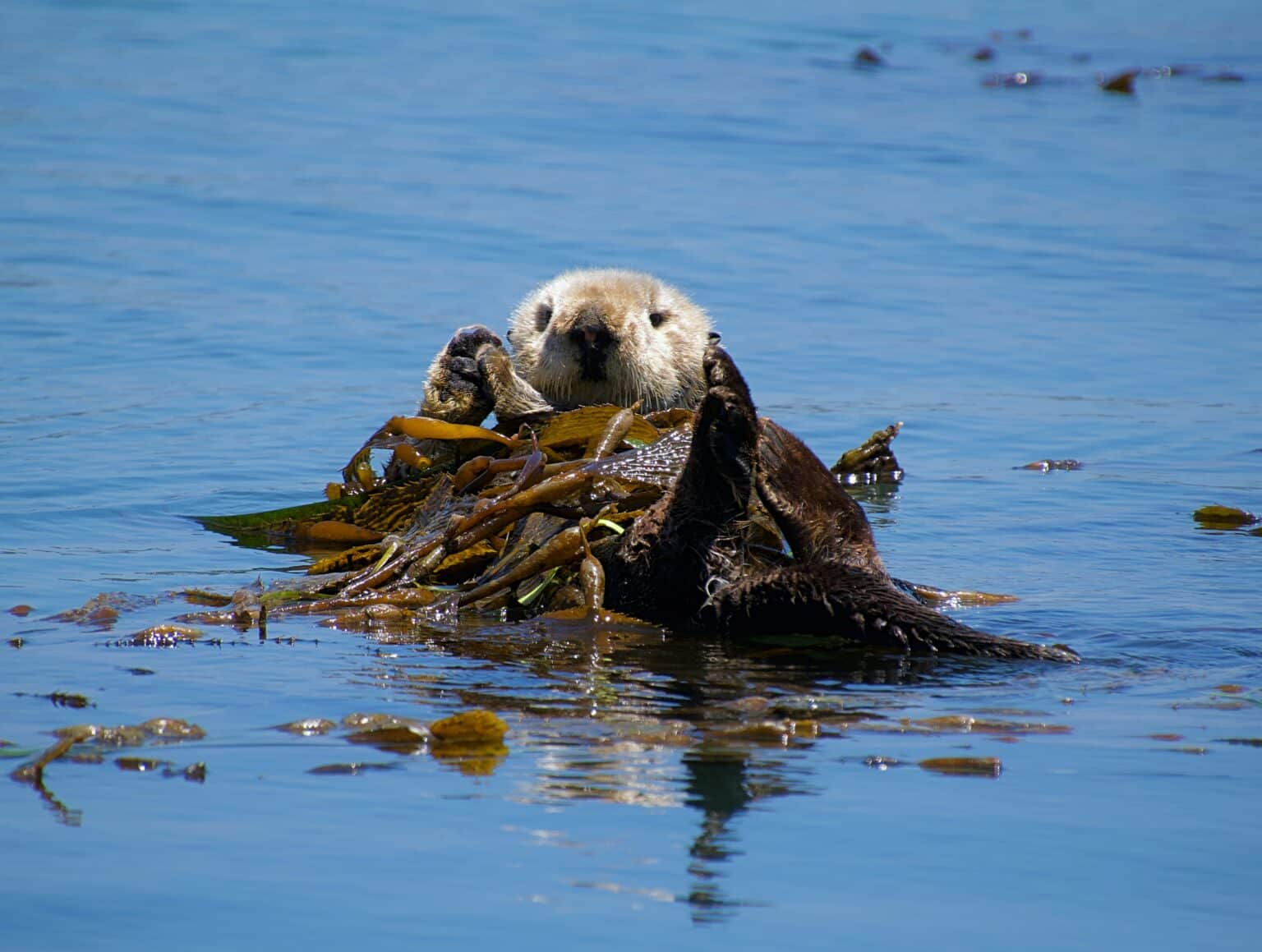 monterey to big sur itinerary