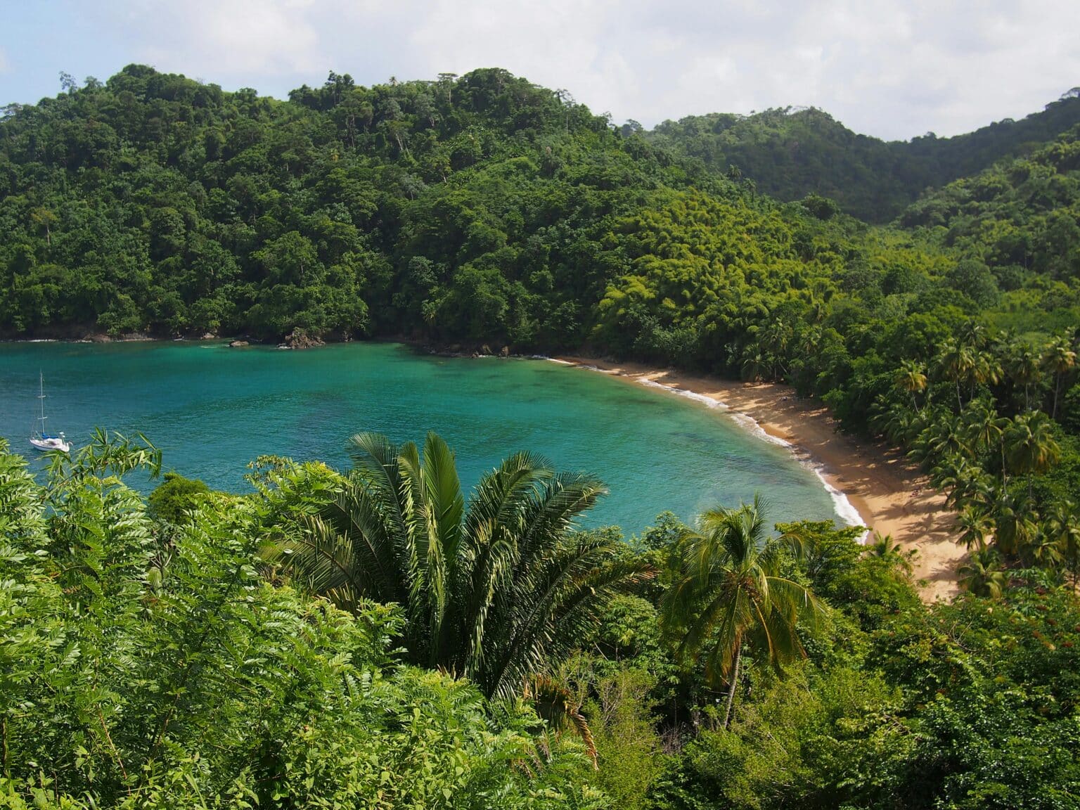 best dive destinations Dominica beach Caribbean